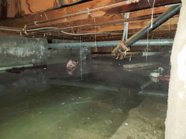 Best Emergency water damage restoration  in Bartlett, IL