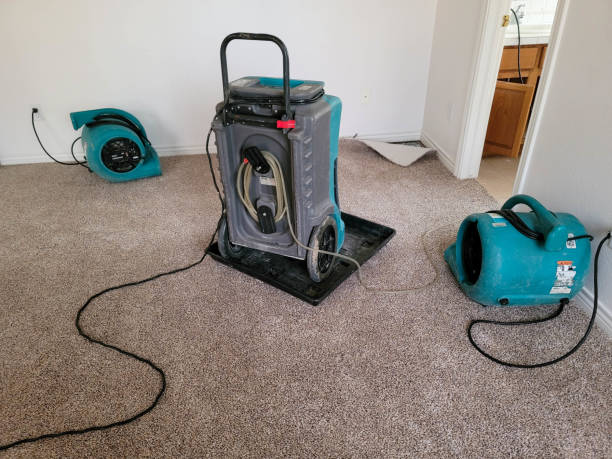 Best Water damage contractors near me  in Bartlett, IL