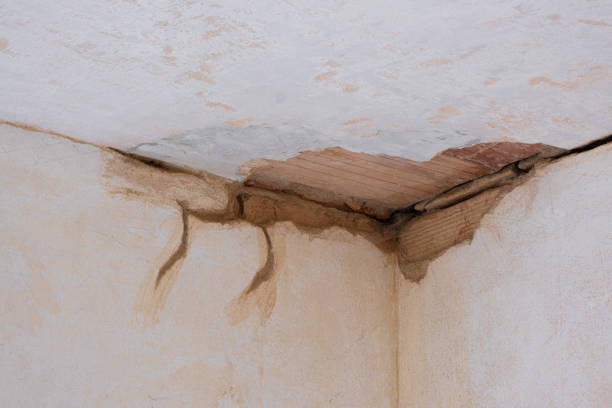 Best Professional water damage repair  in Bartlett, IL