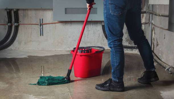 Best Sewage cleanup and water damage restoration  in Bartlett, IL