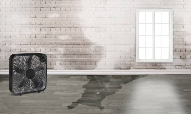 Water damage restoration mold remediation in IL