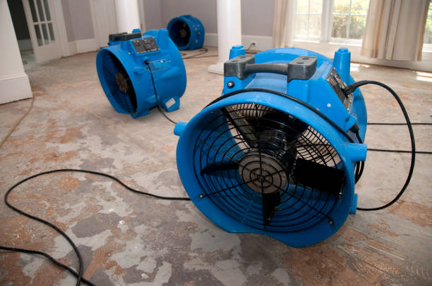 Best Ceiling water damage repair  in Bartlett, IL