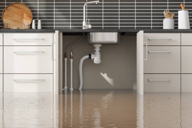 Best Water damage restoration near me  in Bartlett, IL