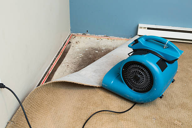 Best 24/7 water damage repair  in Bartlett, IL